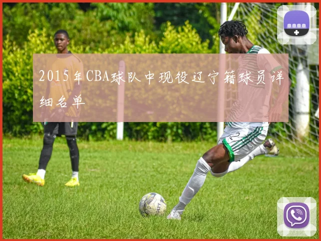 2015年CBA球队中现役辽宁籍球员详细名单